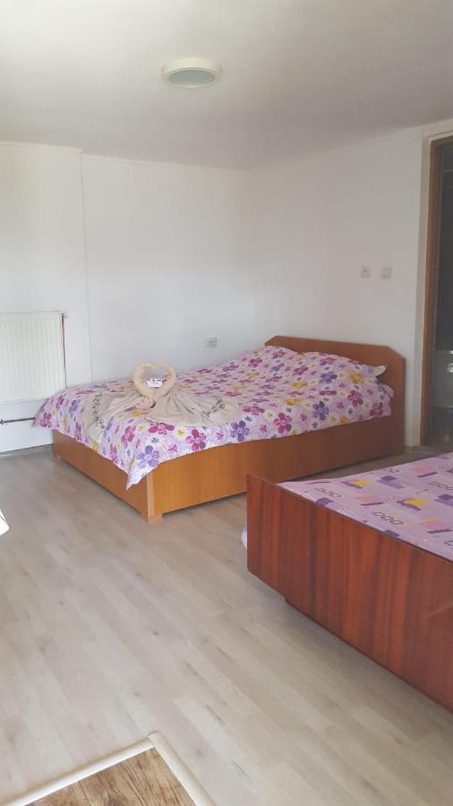 Casa Rariana Hotel Calimanesti Ngoại thất bức ảnh