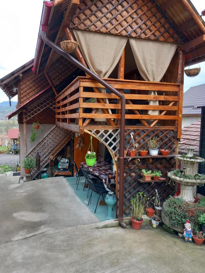 Casa Rariana Hotel Calimanesti Ngoại thất bức ảnh